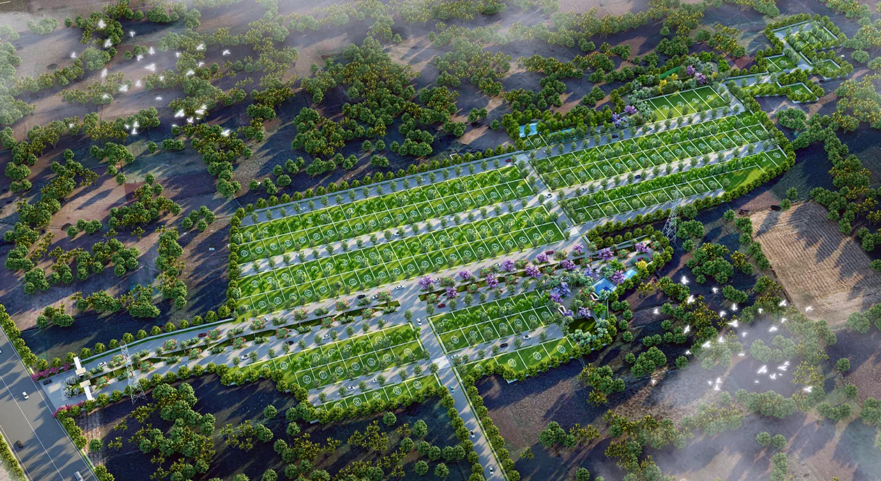 AMAZON COUNTY